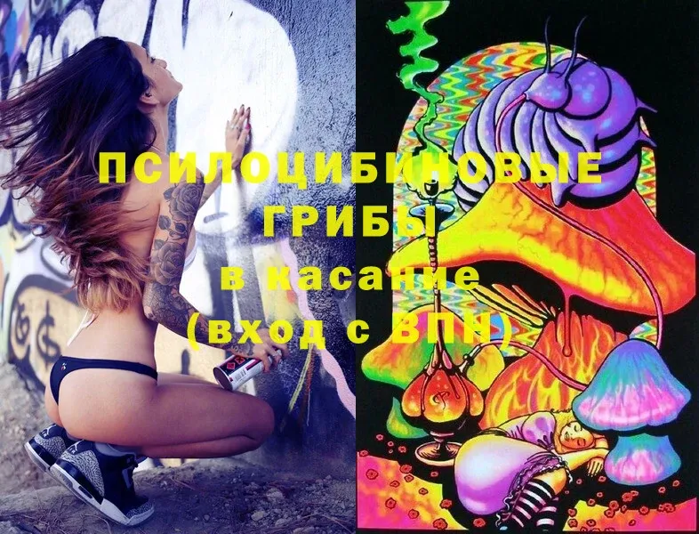 Галлюциногенные грибы Psilocybe  KRAKEN ССЫЛКА  Чишмы  купить  сайты 